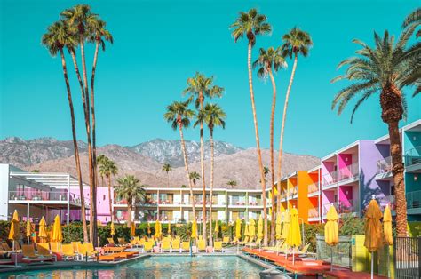 palm springs gomovies